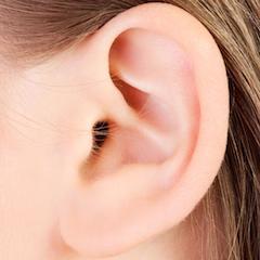 ear