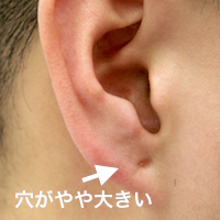 耳の図