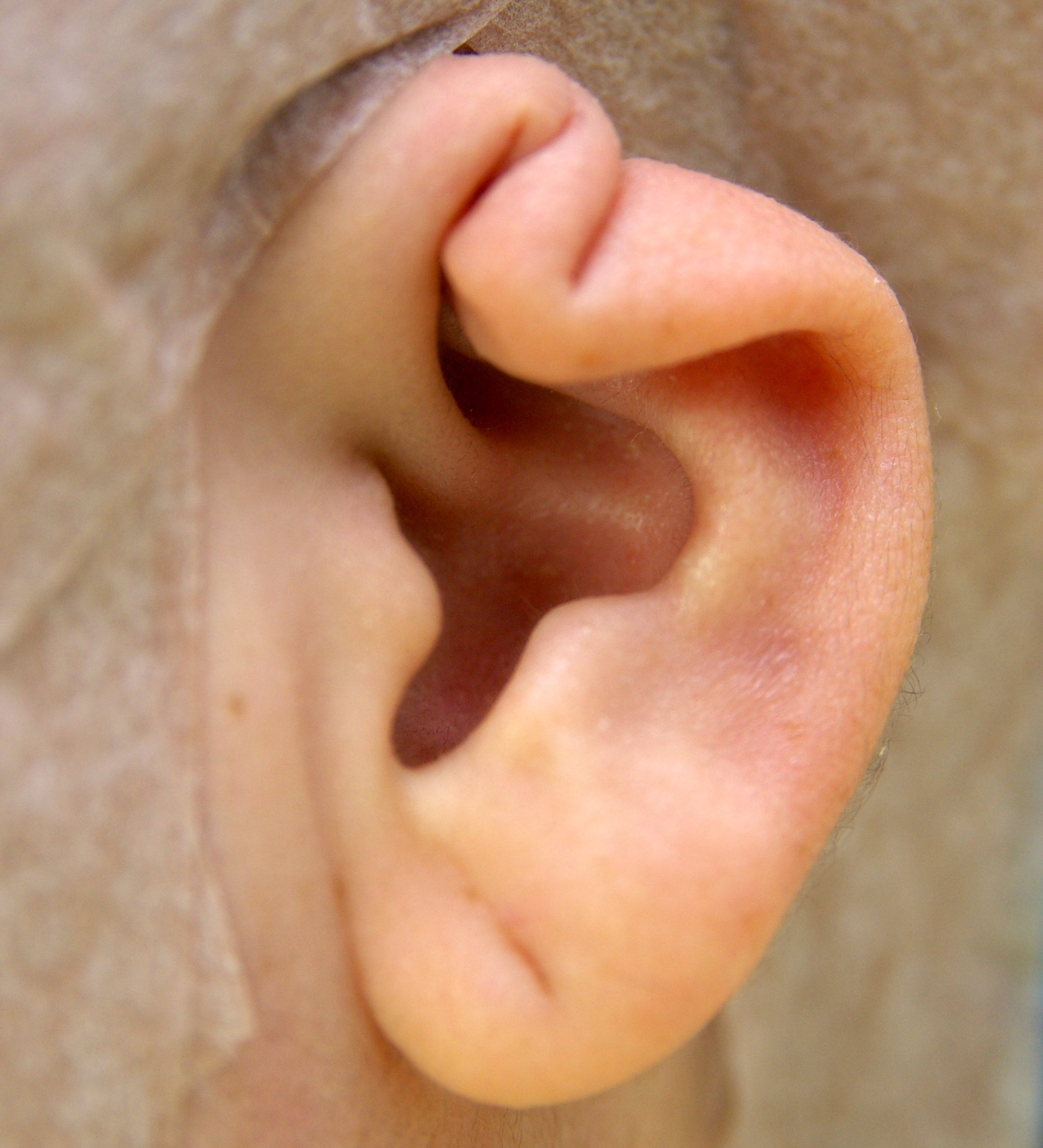 中耳炎传染吗，中耳炎该如何预防呢？ - 健康常识 - 每天一个健康小知识