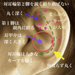 耳の写真